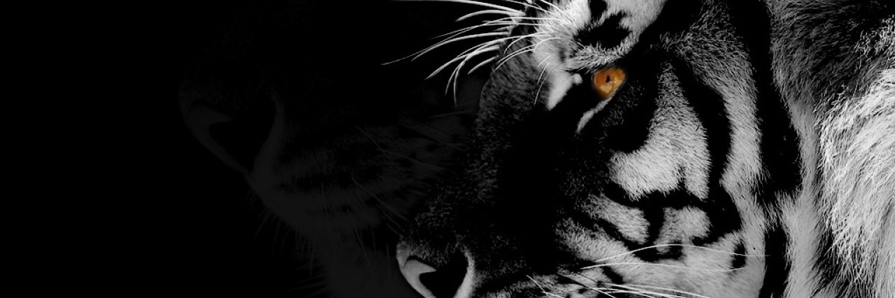 mangoWOman's profile banner image
