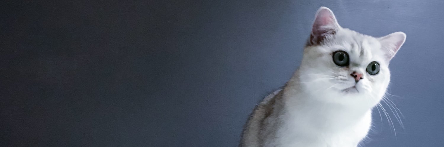 thoifhard's profile banner image