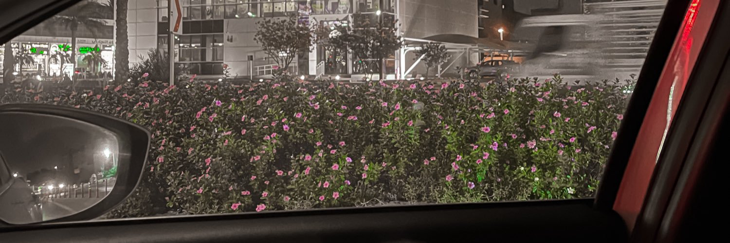 alrrubaa's profile banner image