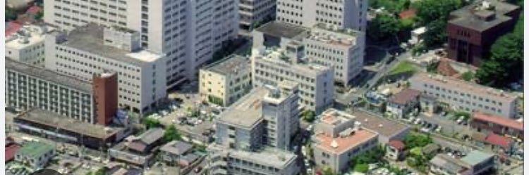 メ ー に ゃ 🐑🤍元ケアマネ兼リハビリ/作業療法/理学療法/言語聴覚/看護師/介護士/保育士's banner