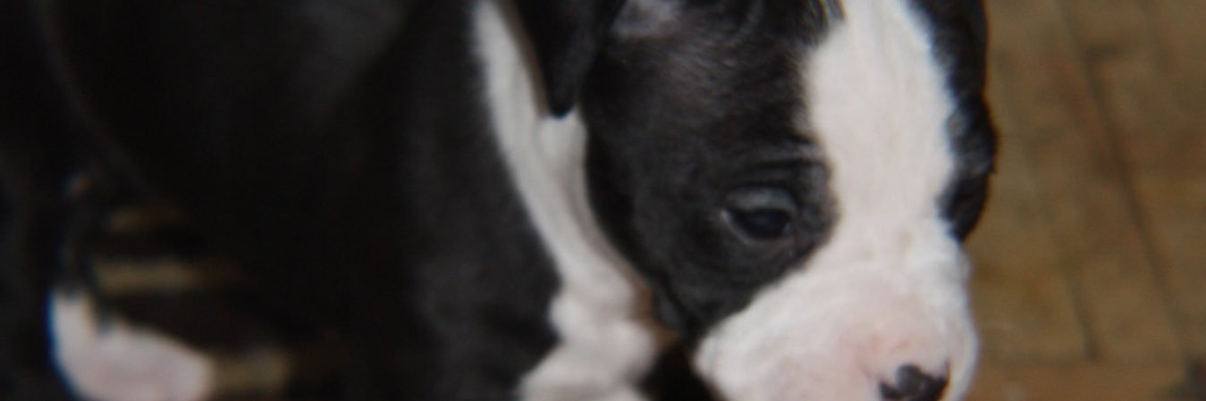 flakoflam3's profile banner image