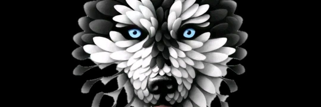 Olu_vincent1's profile banner image