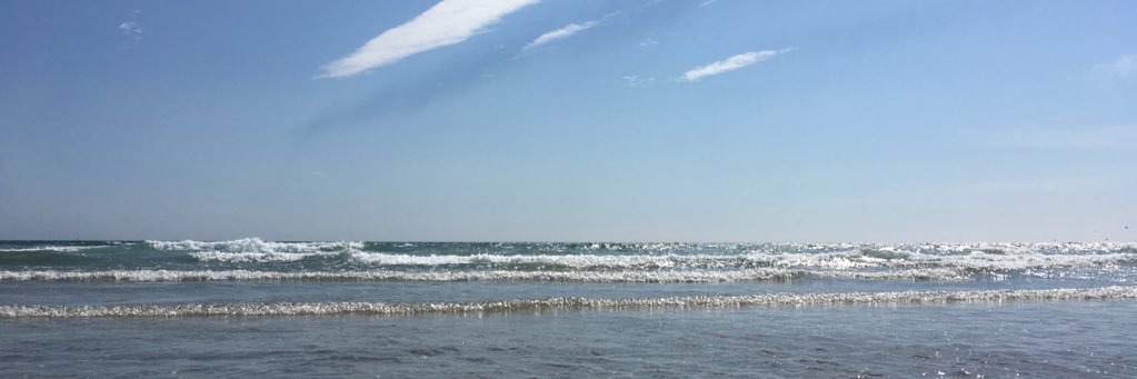 NobleSar's profile banner image