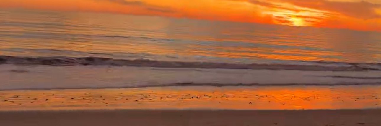 LinnaeVaughn's profile banner image