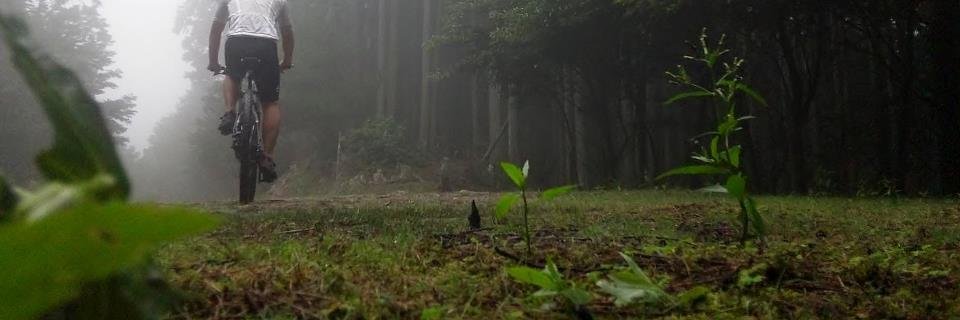 tab_0's profile banner image