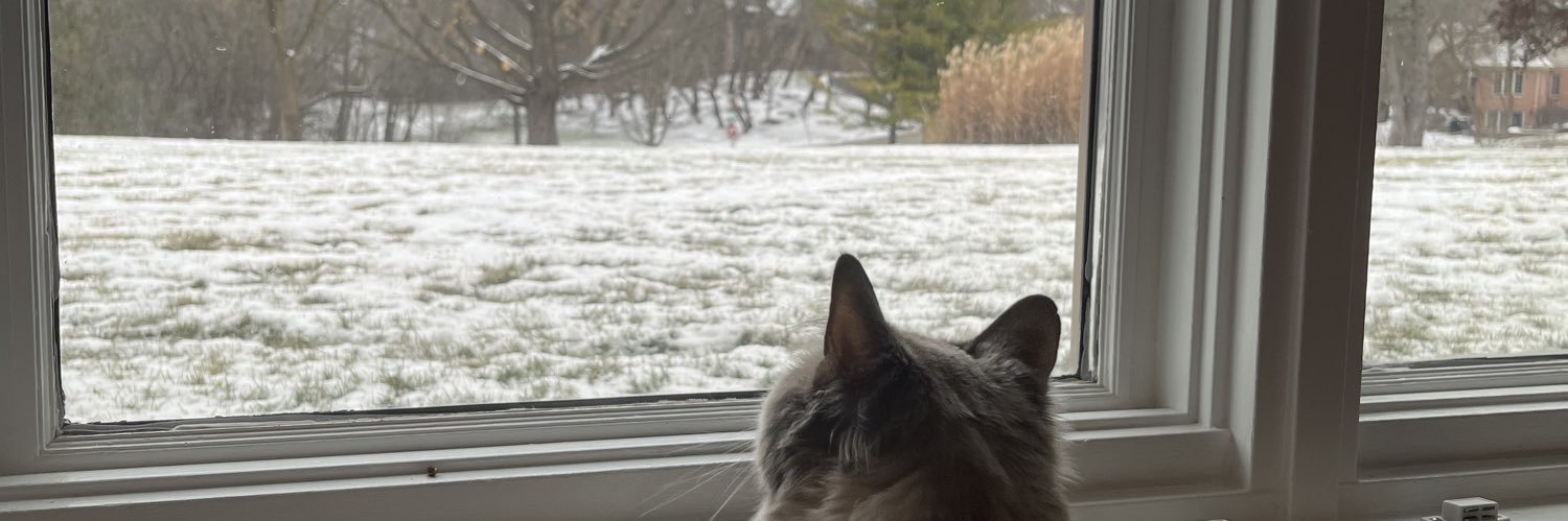maddyandoranges's profile banner image