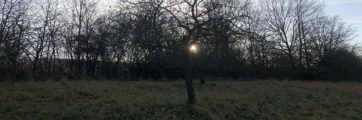 capt.kiesel 🎸 banner