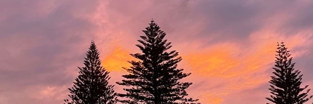 BaileyAKing's profile banner image