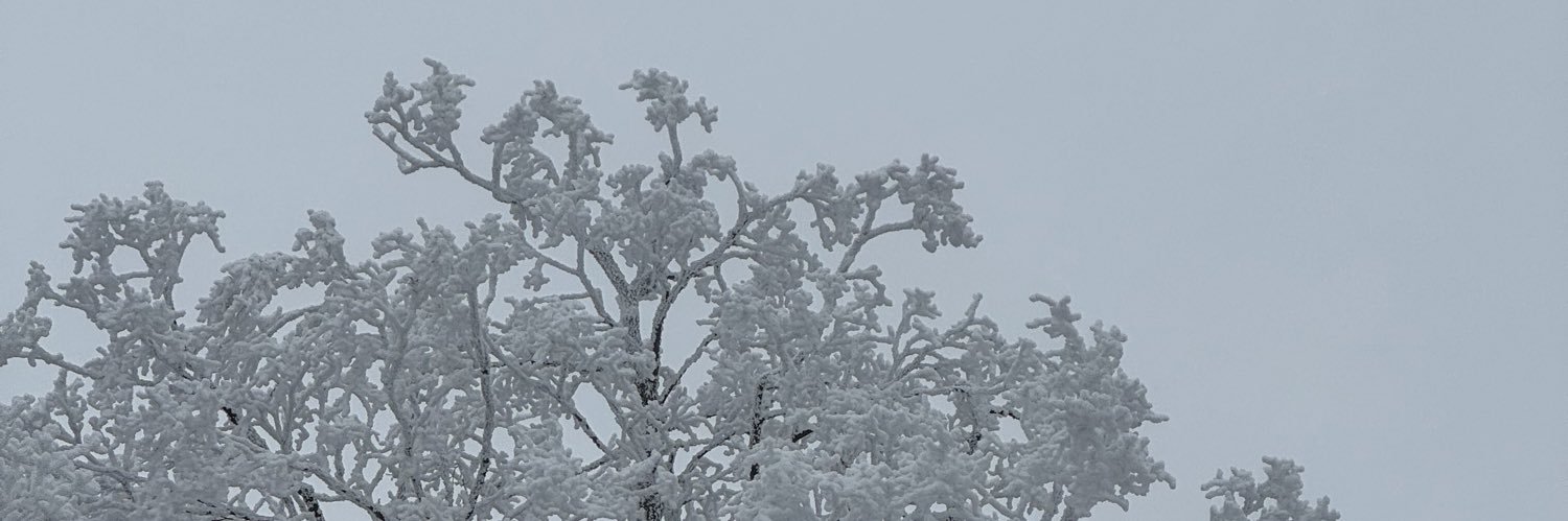 herbert_lim's profile banner image