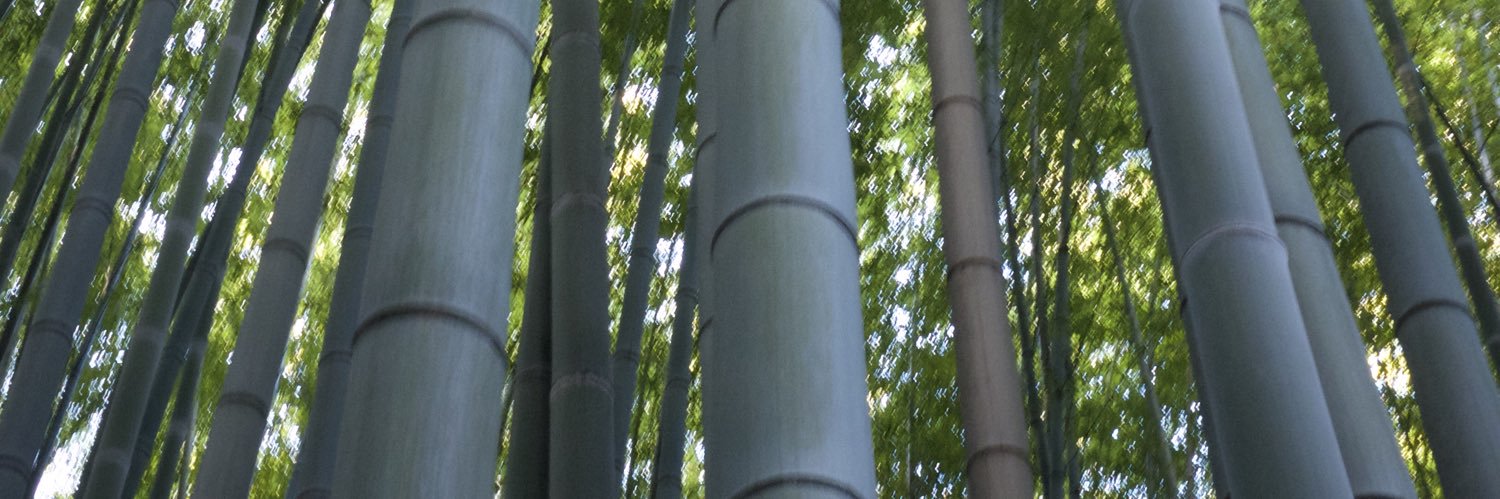 Brian Schoenbaum banner