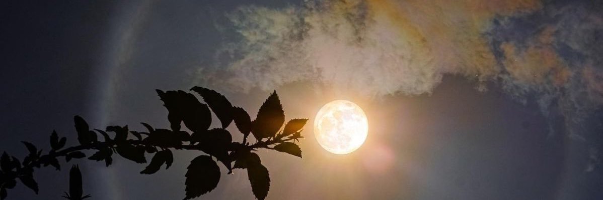 IndianFcknJesus's profile banner image