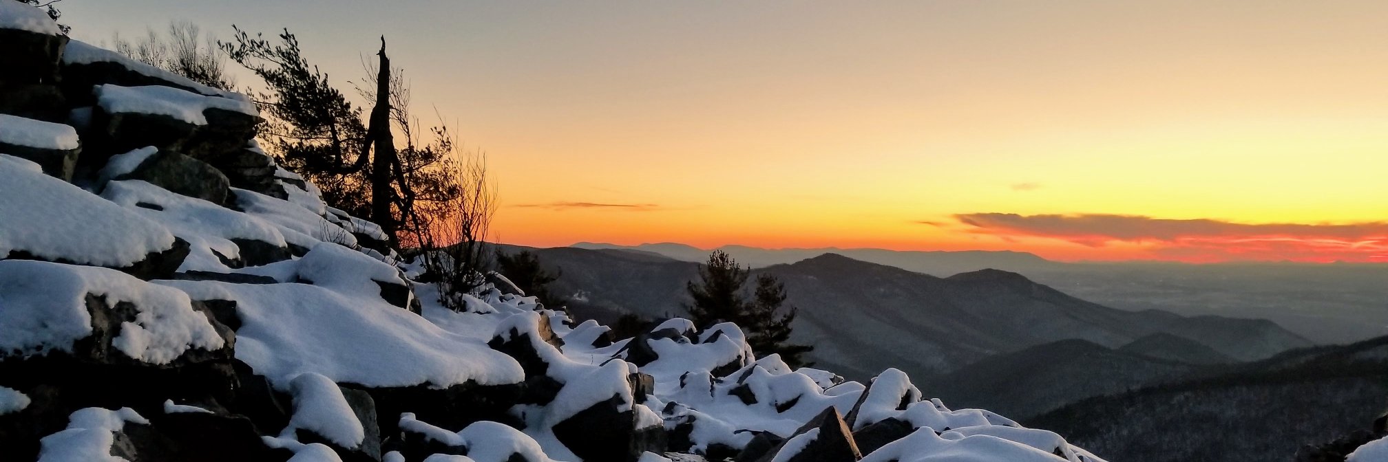 KyleDLawrence's profile banner image