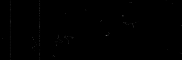 composite Profile Banner