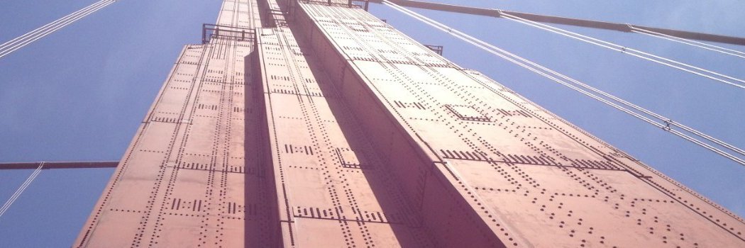 Elizabeth Bieniek banner