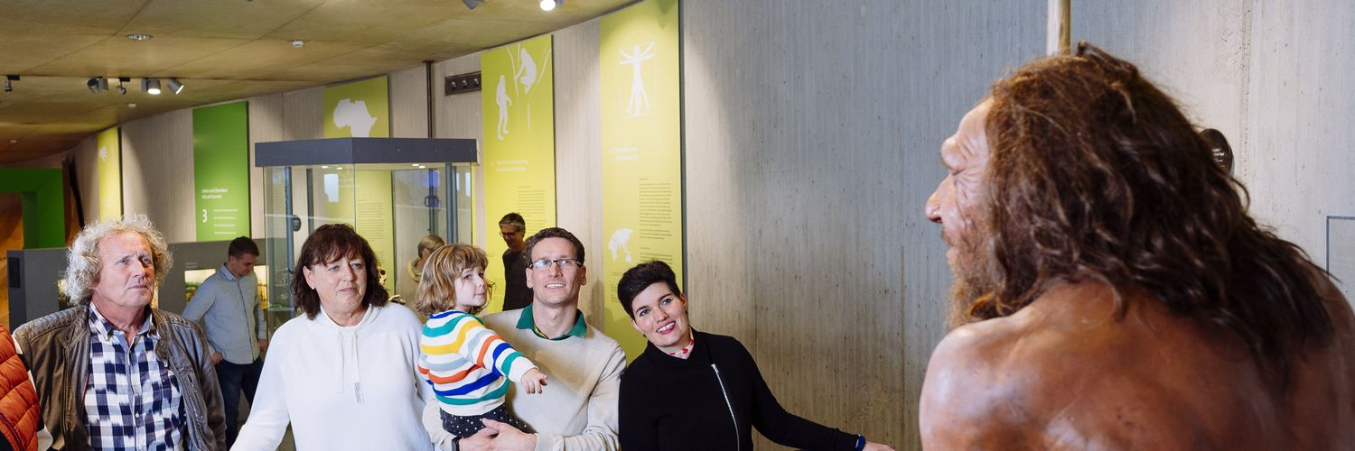 Versado Ignaro Medina y Luengo banner