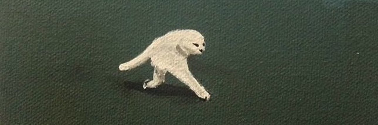cmenesesss's profile banner image