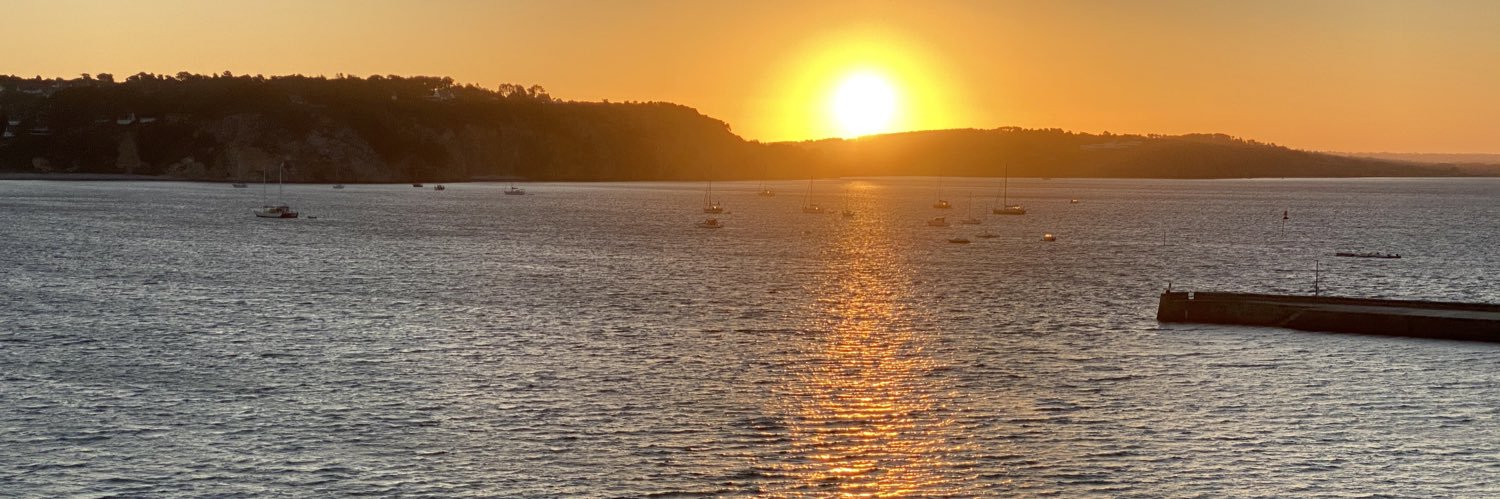 Spinello Tolomei banner