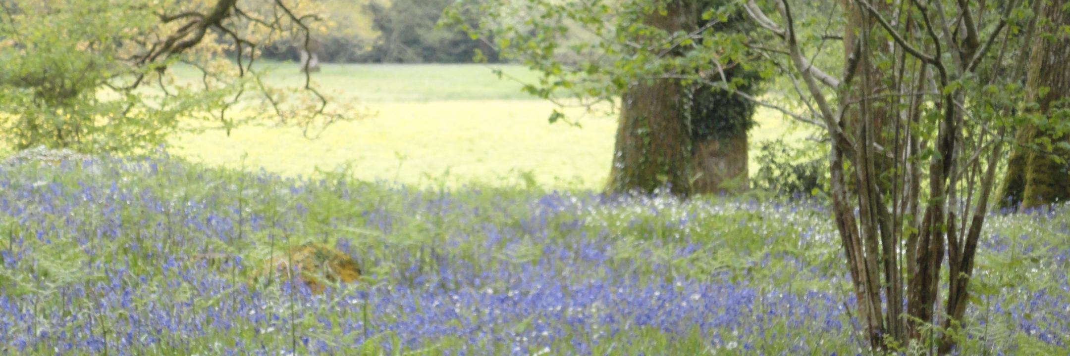 marissadoyle's profile banner image