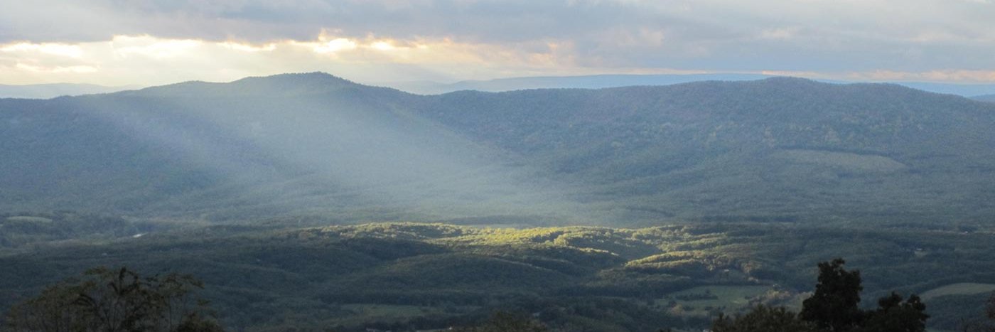 svshrm's profile banner image