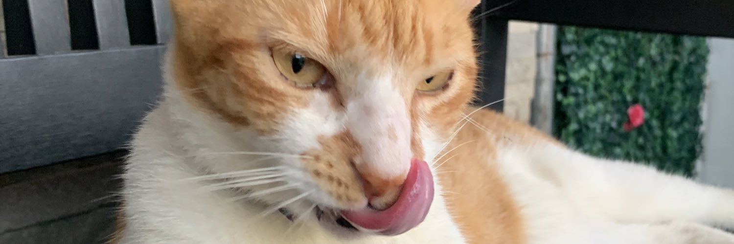 Chun-Li🀄️♥️ banner