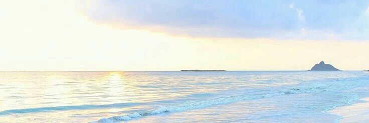 NGAW🐱 banner