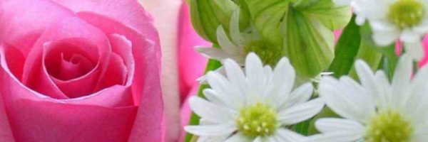 BestFriends_x Profile Banner