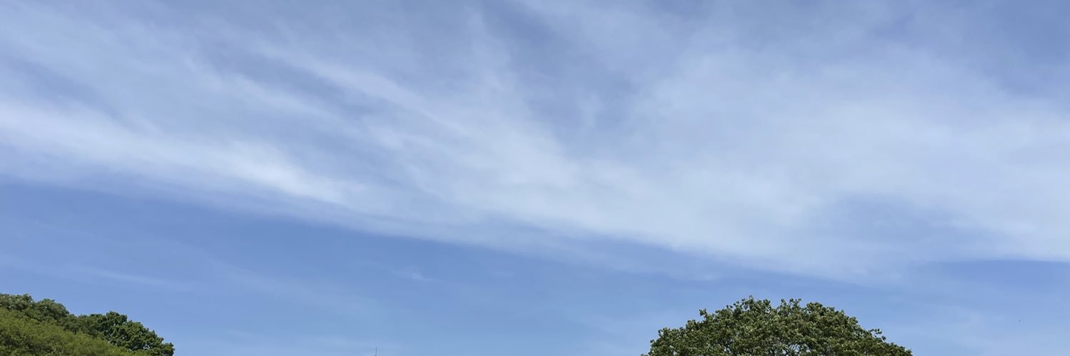 nijimamaa's profile banner image