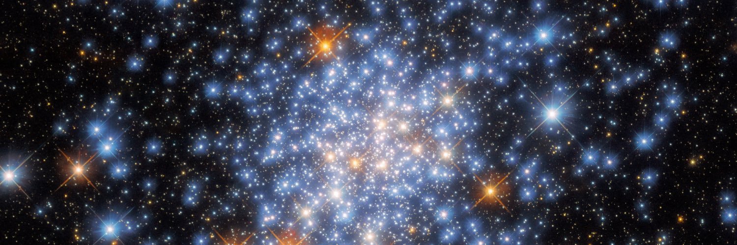 C_globosum's profile banner image
