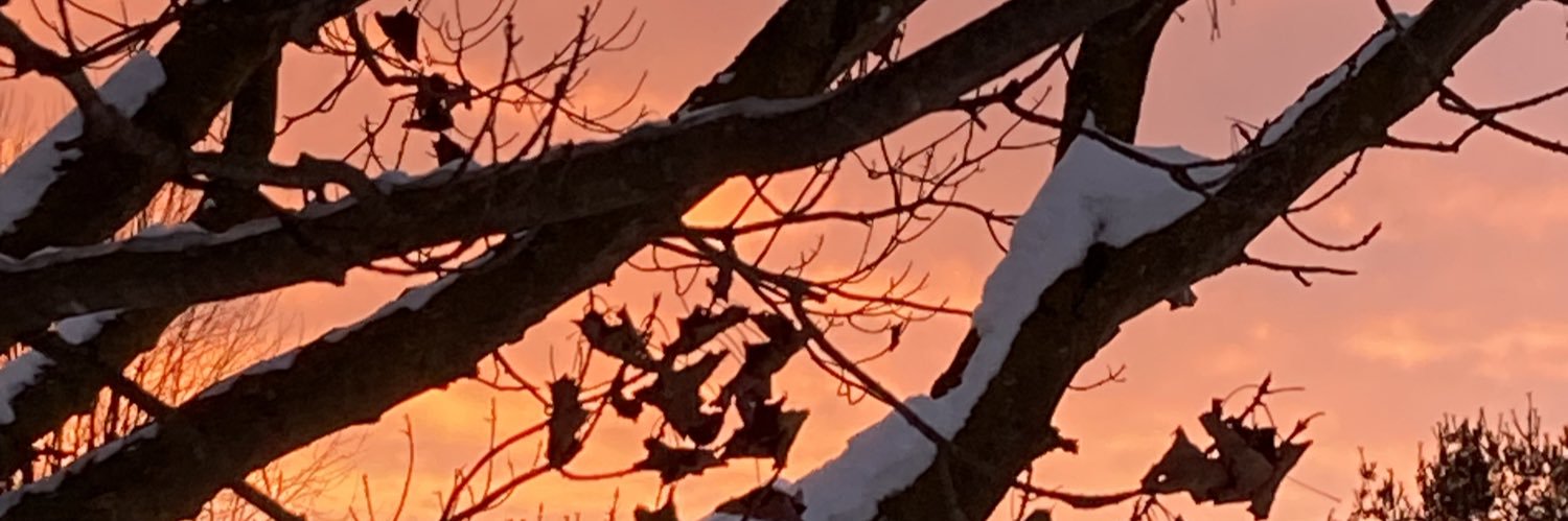 Jay Benefield banner