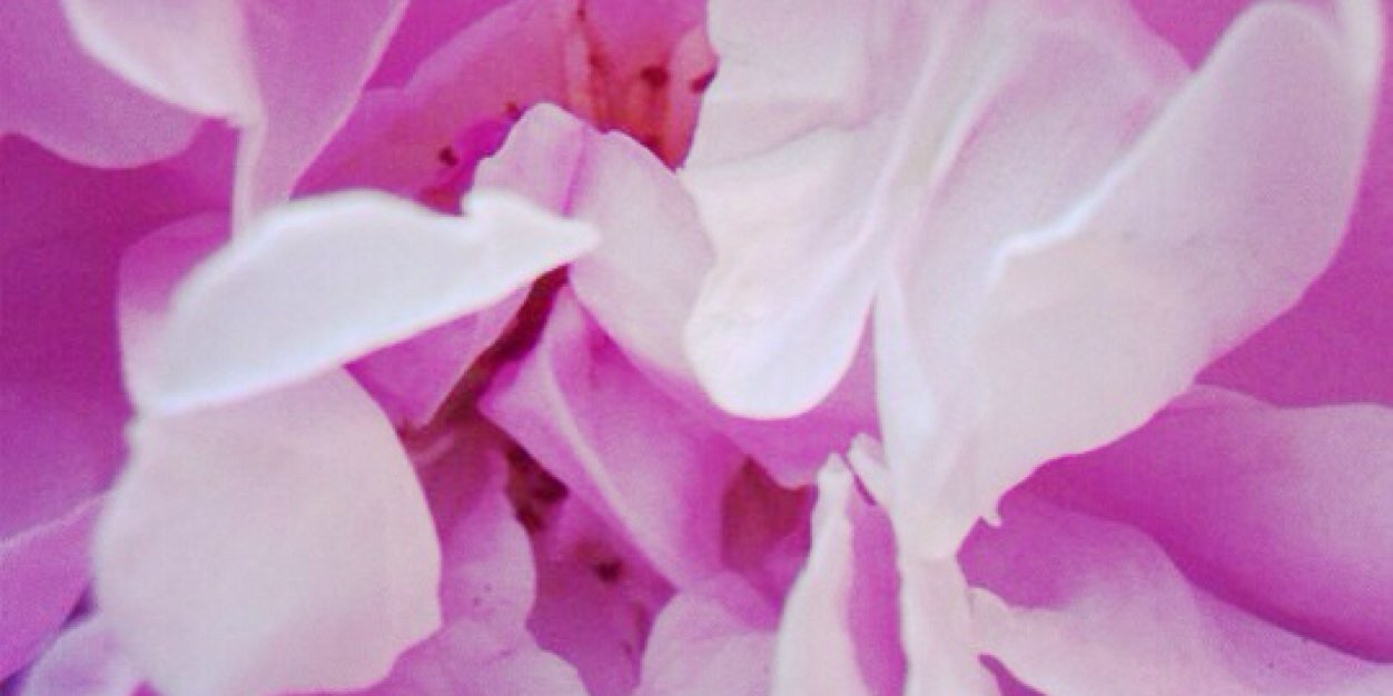 ErinMottershead's profile banner image