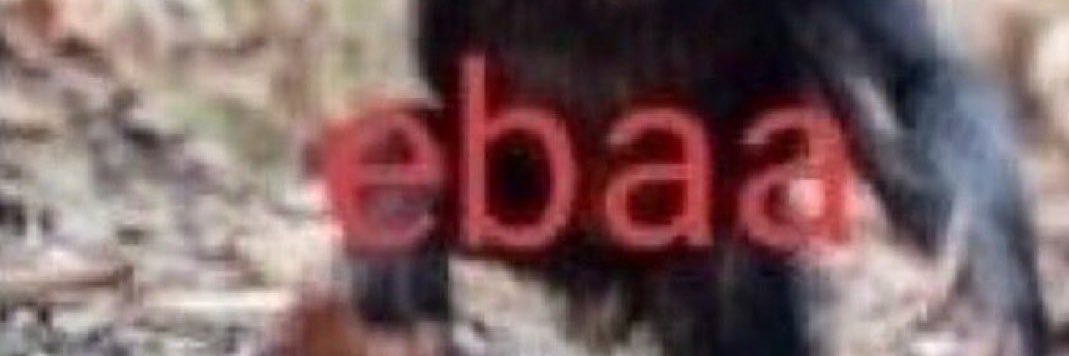 larehssa's profile banner image
