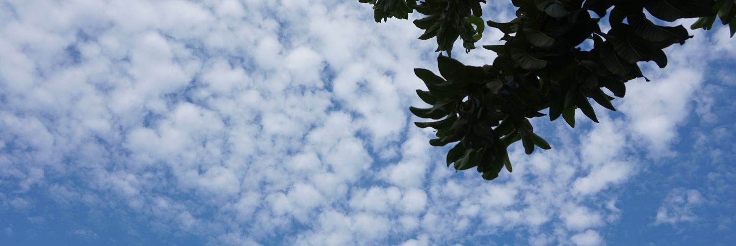 ʙʟᴇꜱꜱ ᴘᴜᴛʀɪ banner