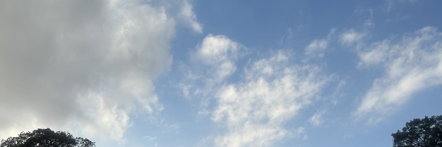 RaqueelSPC's profile banner image