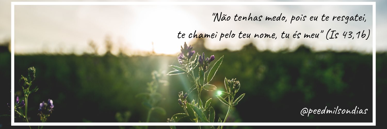 peedmilsondias's profile banner image