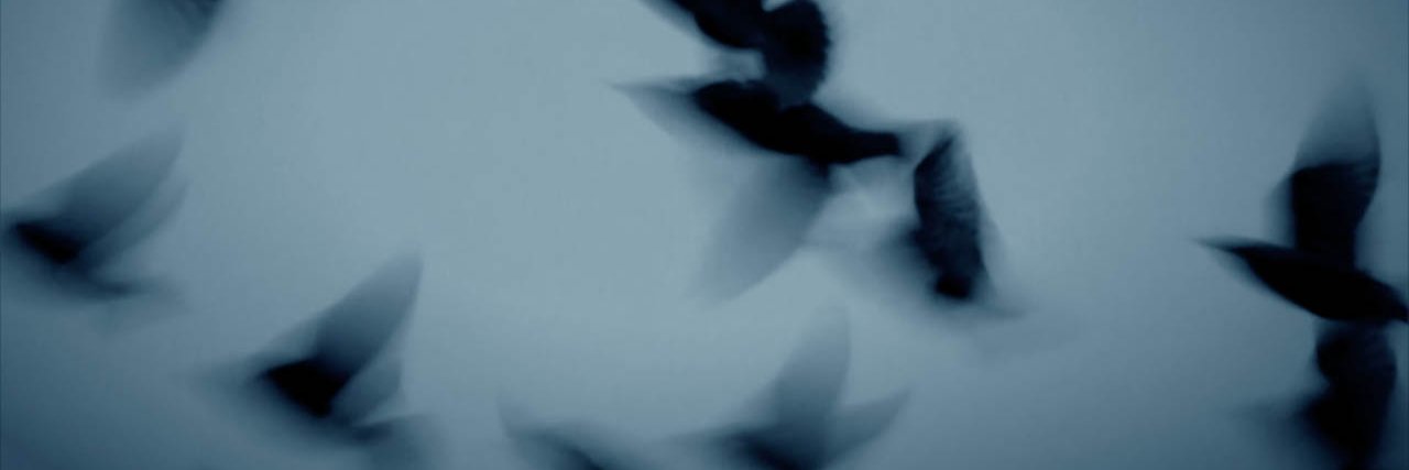 regulationbrown's profile banner image