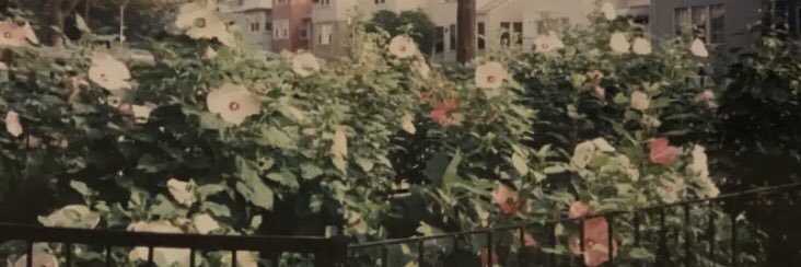 Lenaa___xo's profile banner image