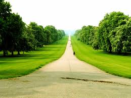 maria belen gomez banner