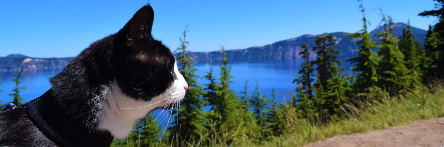 greeneggsnsams's profile banner image