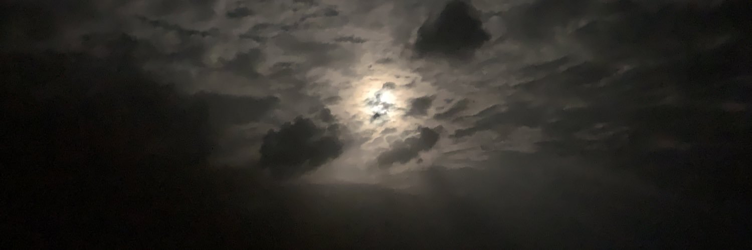 pgychua's profile banner image