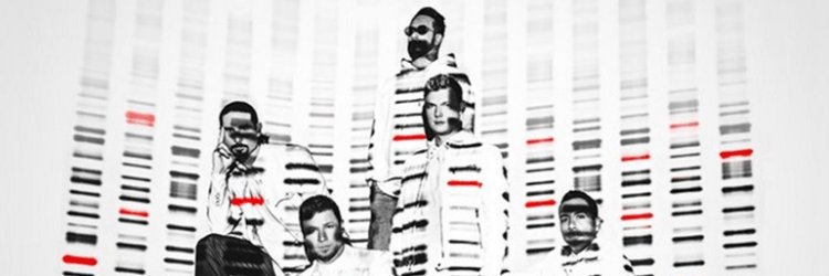 BsbFansColombia's profile banner image