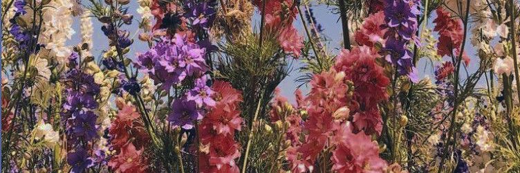 luda__krys's profile banner image