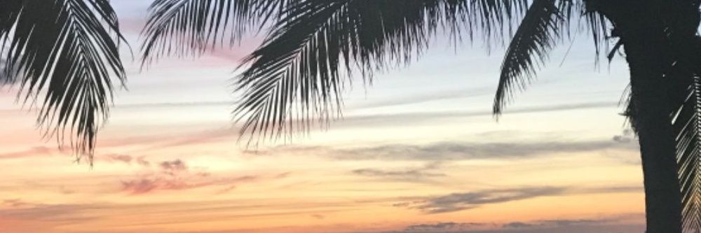 Paola 🌹's banner