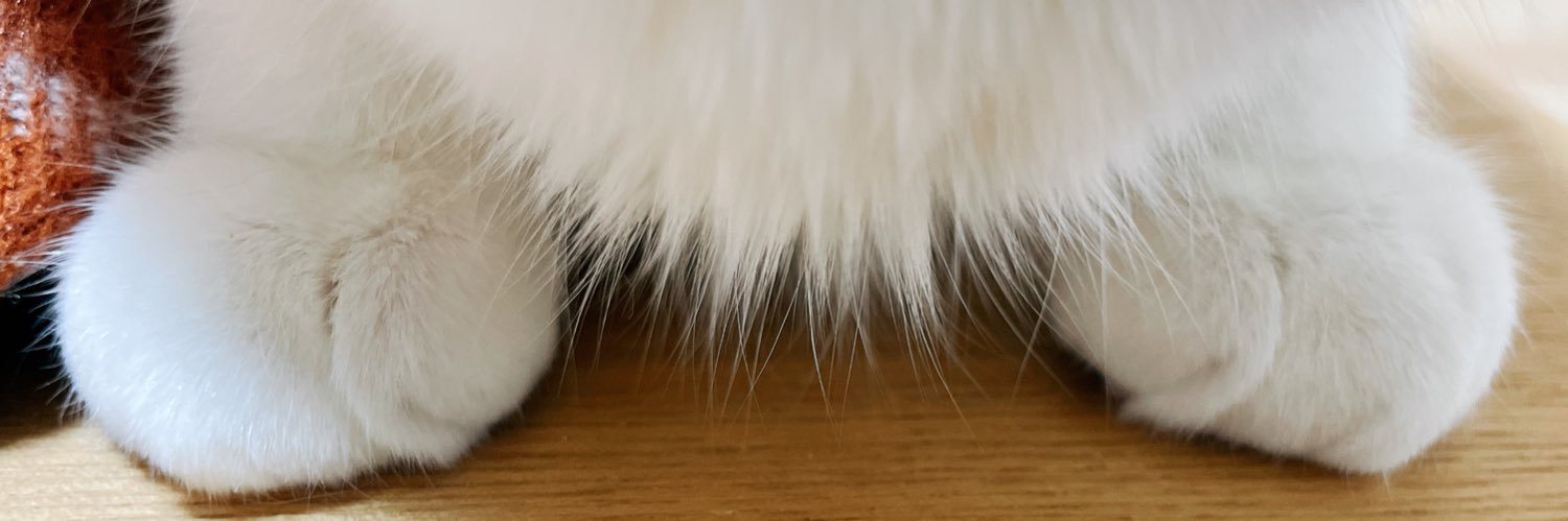 UvKitoEr's profile banner image