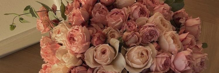rey_aileen's profile banner image