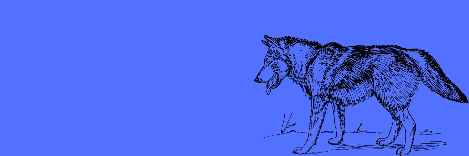 OGammaGainer's profile banner image
