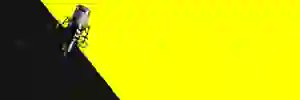 CassandraYoungB's profile banner image