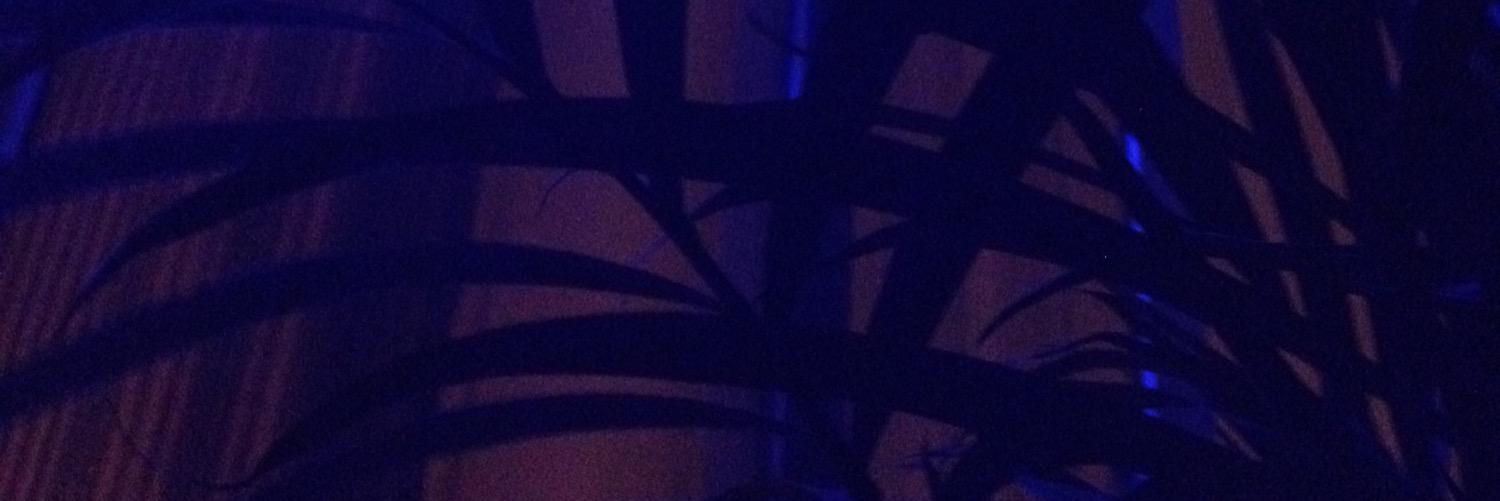 MatthewHassell1's profile banner image