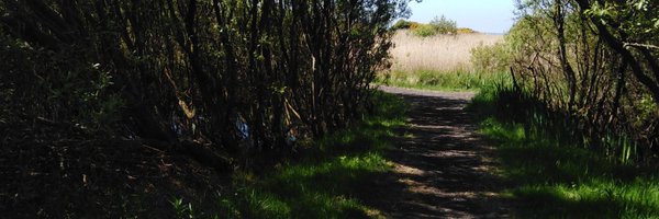 Scripttag10 Profile Banner