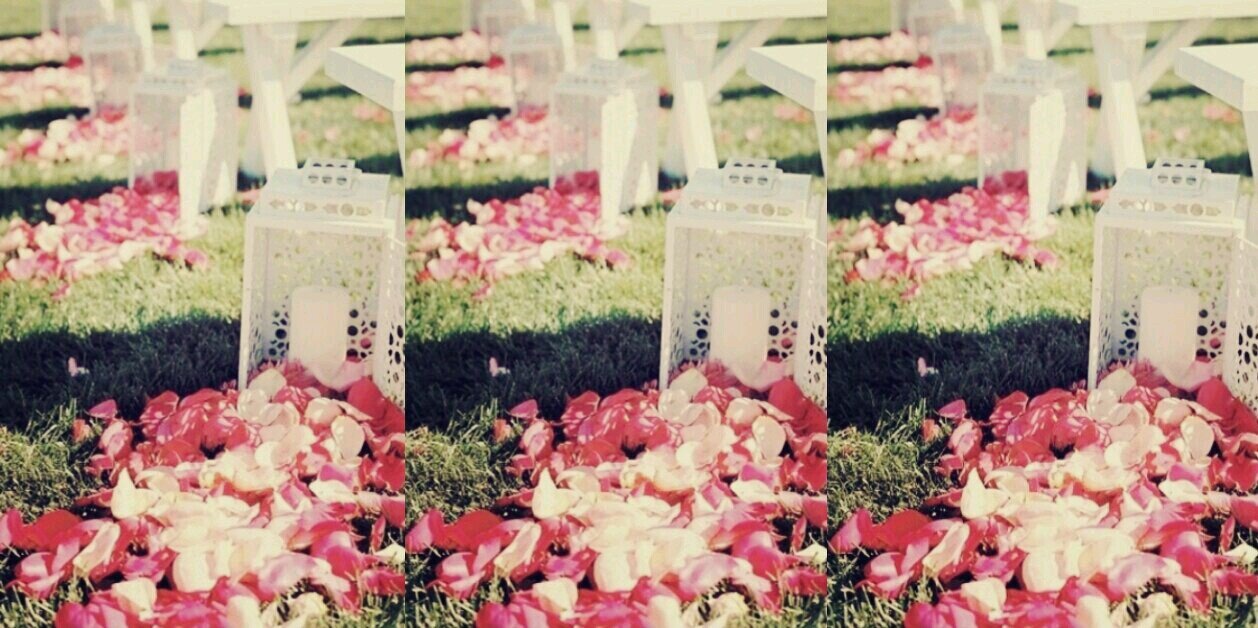 ruthvelani's profile banner image