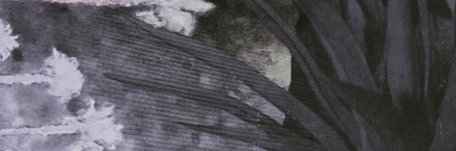 lilyinmay banner
